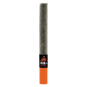 Tribal - Neon Sunshine Ceramic Tip Pre-Roll - 1x1g